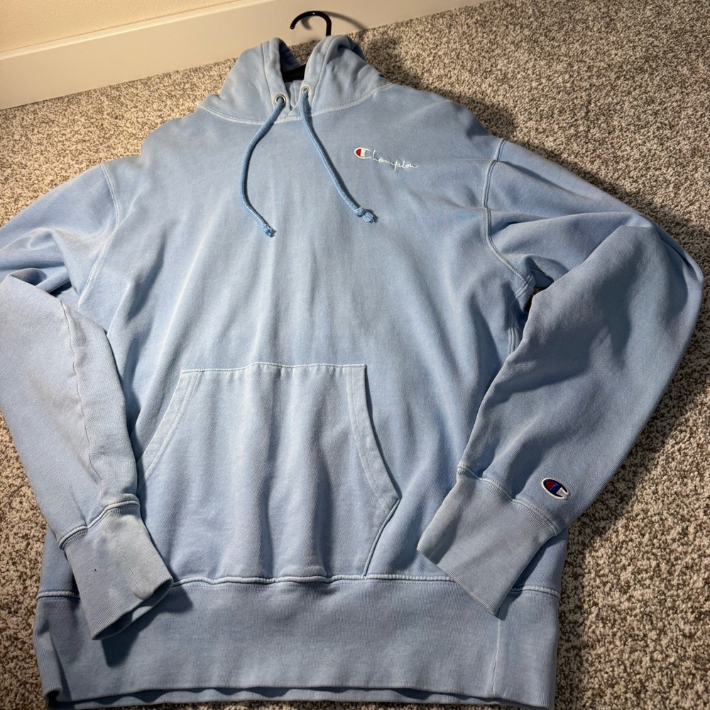 Champion Hoodie Sweatshirt. Unisex